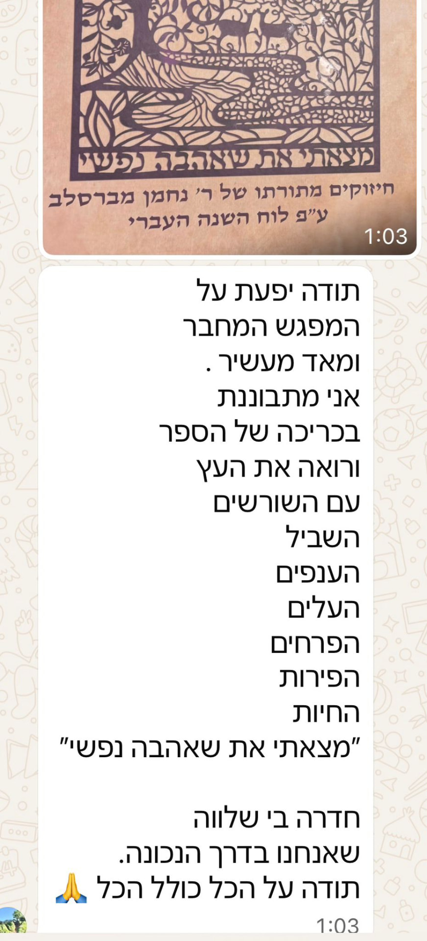 המלצה ממשתתפת 3